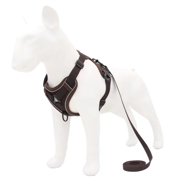 Adjustable dog harness with leash