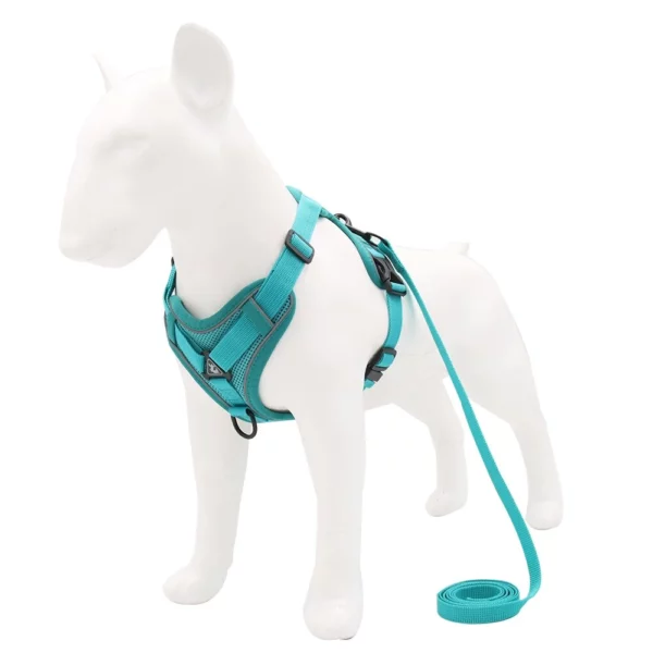 Adjustable dog harness with leash