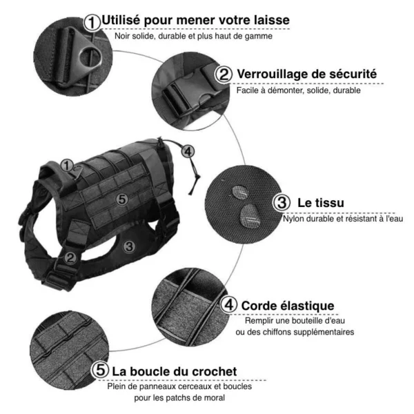 Tactical dog harness with leash