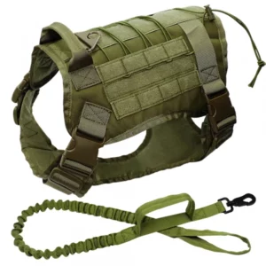 Tactical dog harness with leash