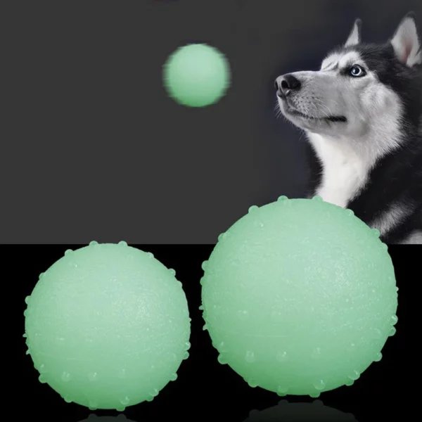 Interactive glow-in-the-dark ball dog toy