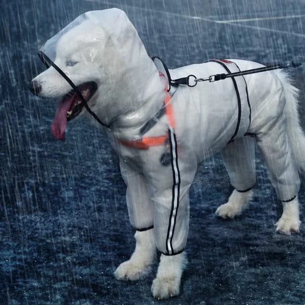 Transparent raincoat with hood for dogs