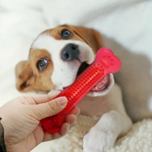 Rubber dog chew toys