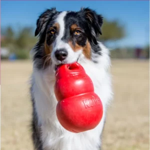 Durable Natural Rubber Dog Chew Toy