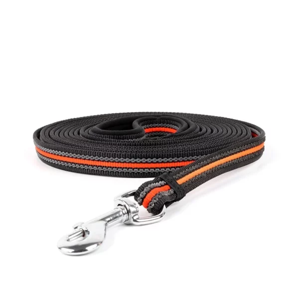 Dog control leash