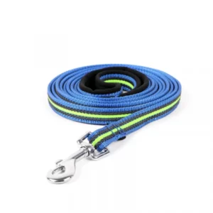 Dog control leash