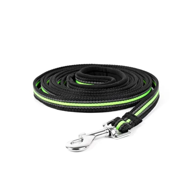 Dog control leash