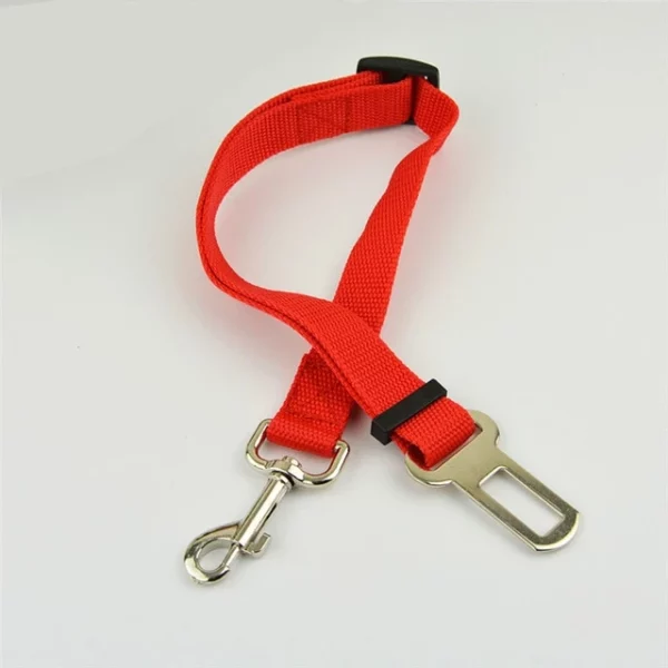 Dog car leash