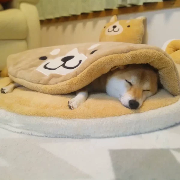 Dog bed with blanket