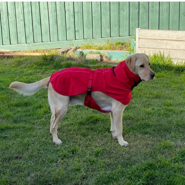 Coat with plush collar for dogs