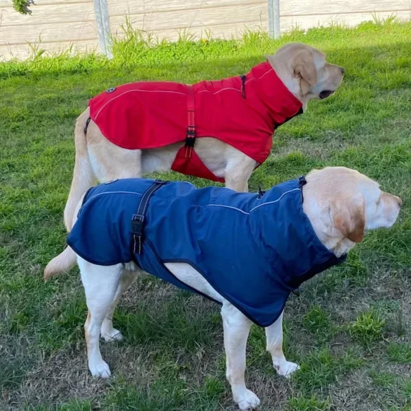 Coat with plush collar for dogs