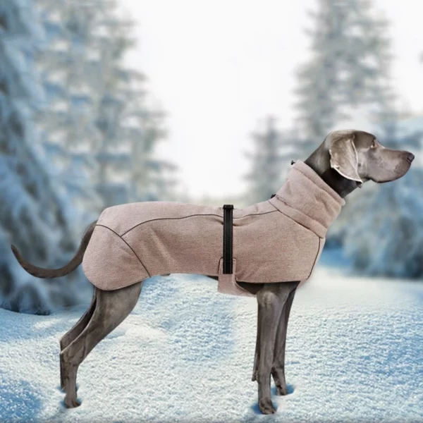 Warm and thick high collar coat for dogs