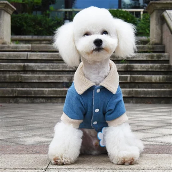 Winter denim dog coat