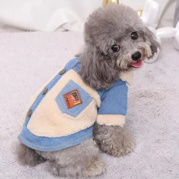 Winter denim dog coat