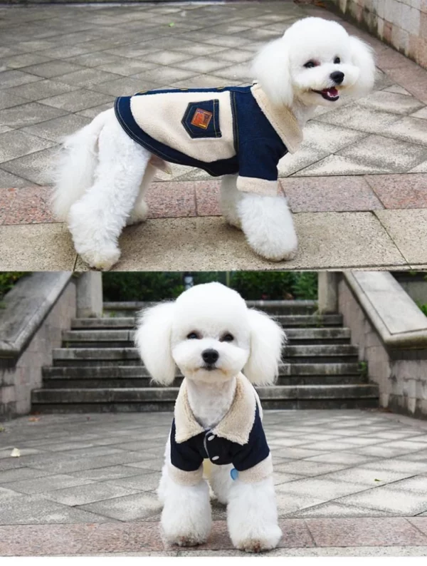 Winter denim dog coat