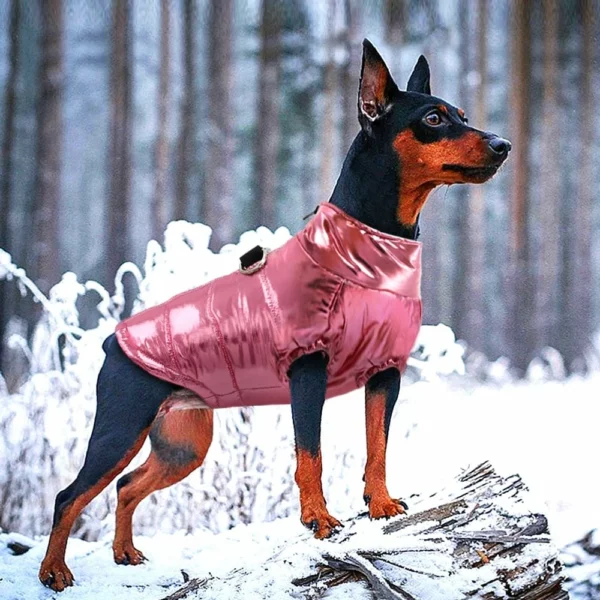 Waterproof and warm coat for dogs