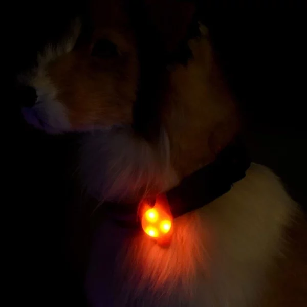 Silicone LED dog pendant