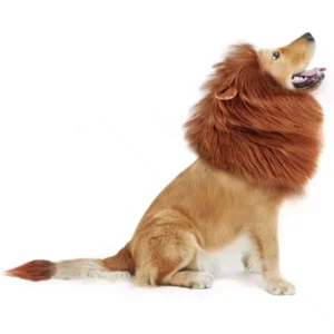 Lion's mane dog wig