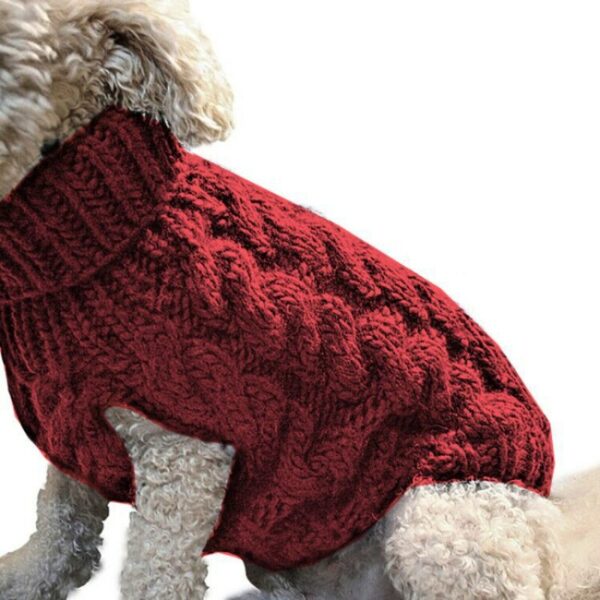 Warm wool sweater for dogs