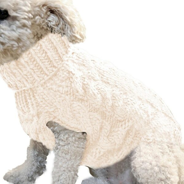 Warm wool sweater for dogs