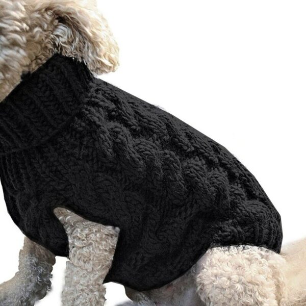 Warm wool sweater for dogs