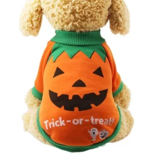 Halloween sweater for dogs