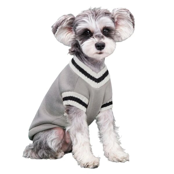 Student Style Sweater with V-Neck for Dogs