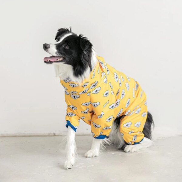 Patterned rainwear for dogs