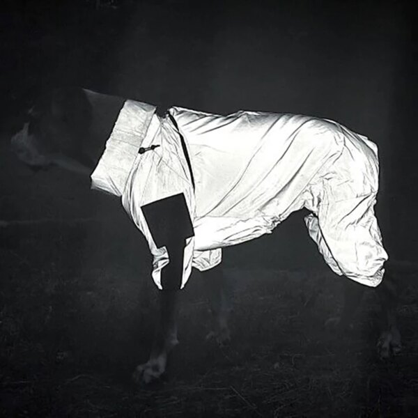 Reflective rain gear for dogs