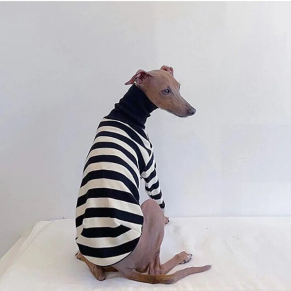 Striped dog sweater