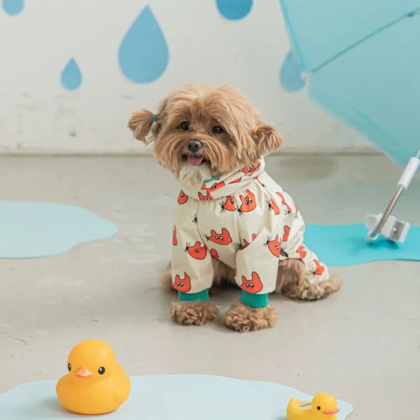 Patterned rainwear for dogs