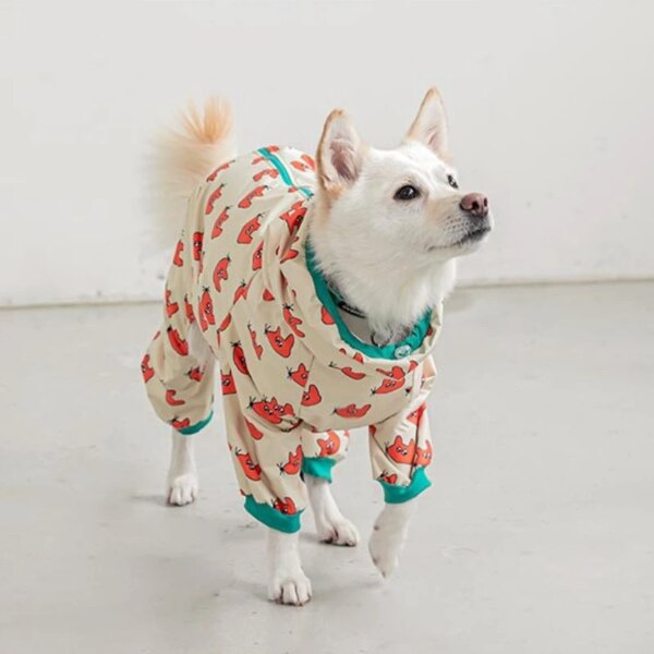 Patterned rainwear for dogs