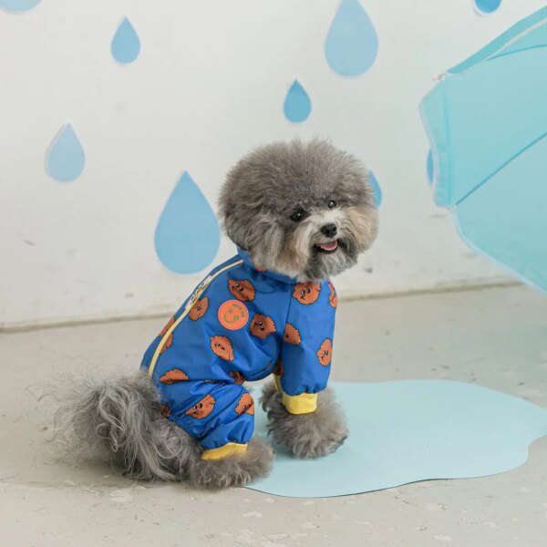 Patterned rainwear for dogs