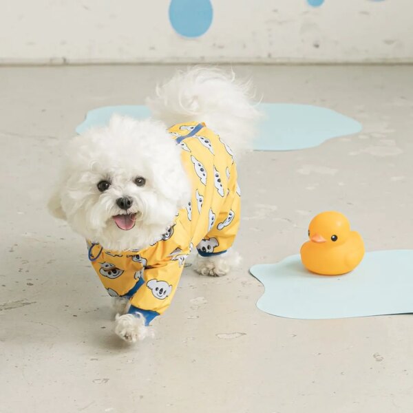 Patterned rainwear for dogs