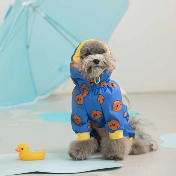 Patterned rainwear for dogs