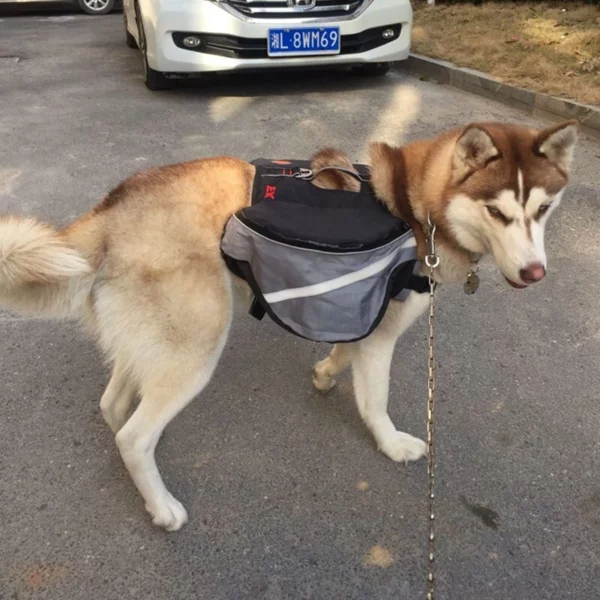 Backpack with two side pockets for dogs