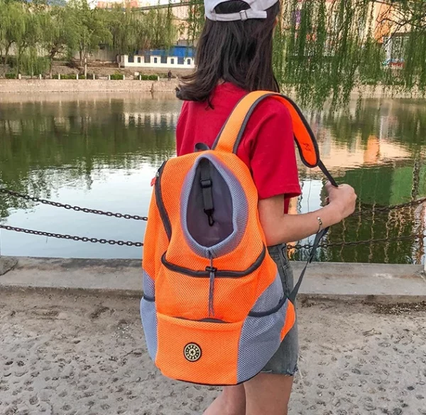 Dog carrying backpack