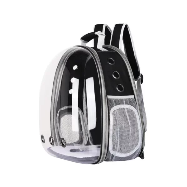 Transparent carrying backpack