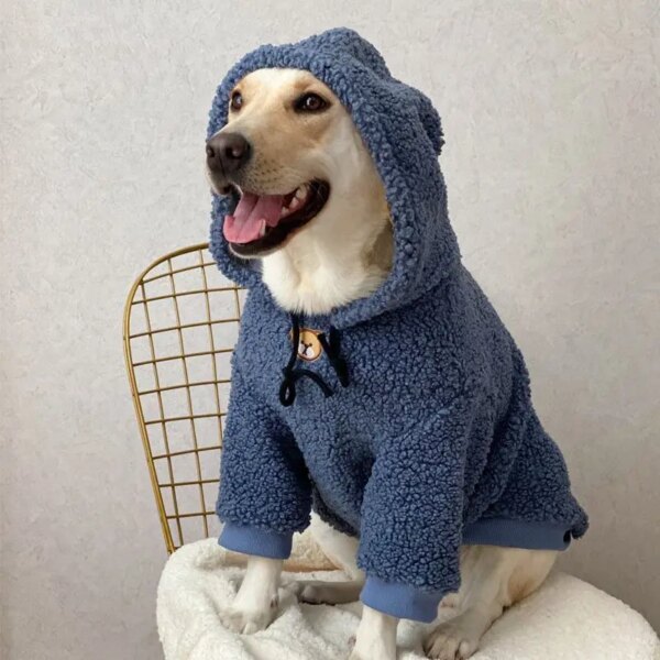 California Style Dog Hoodie