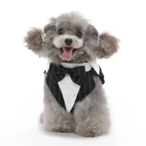 Peaky Blinders Halloween dog costume