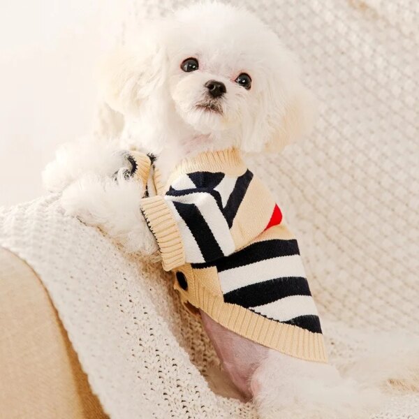 Cardigan-style sweater for dogs