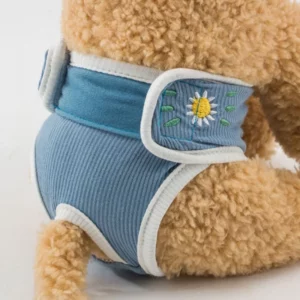 Diaper underwear for dogs