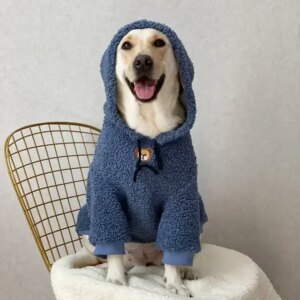 California Style Dog Hoodie