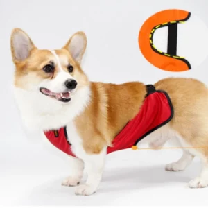 Corgi Protective Apron for Dogs