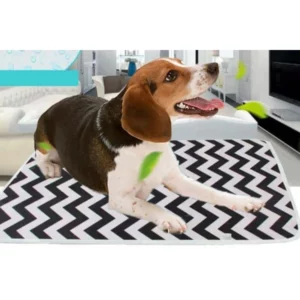 Washable absorbent mat for dogs