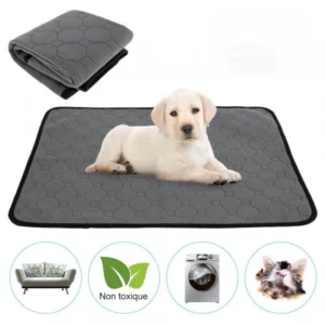 Non-slip dog mat