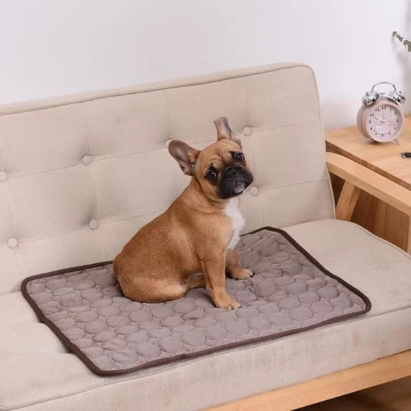 Cooling mat for comfortable dog