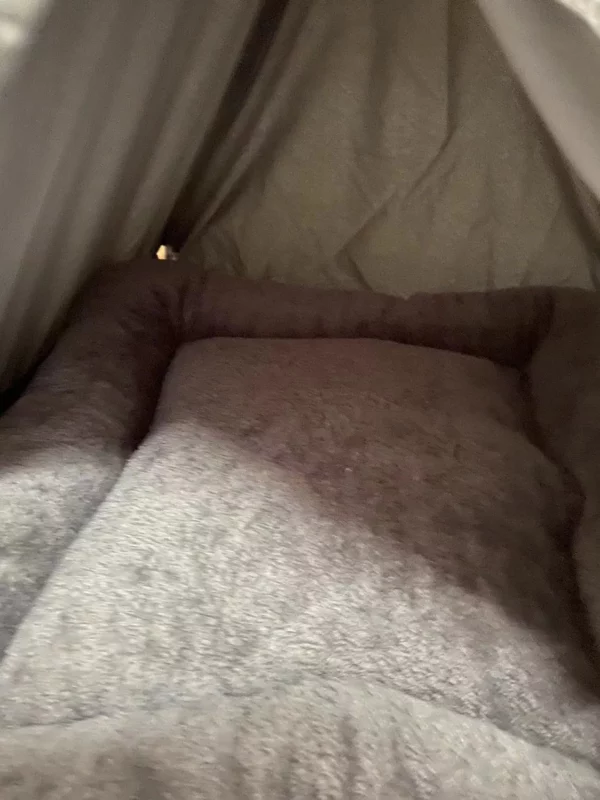 Warm modern tent for dogs