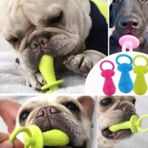 Dog pacifier