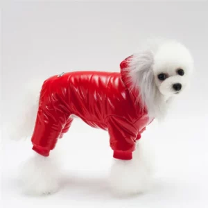 Shiny faux leather dog down jacket